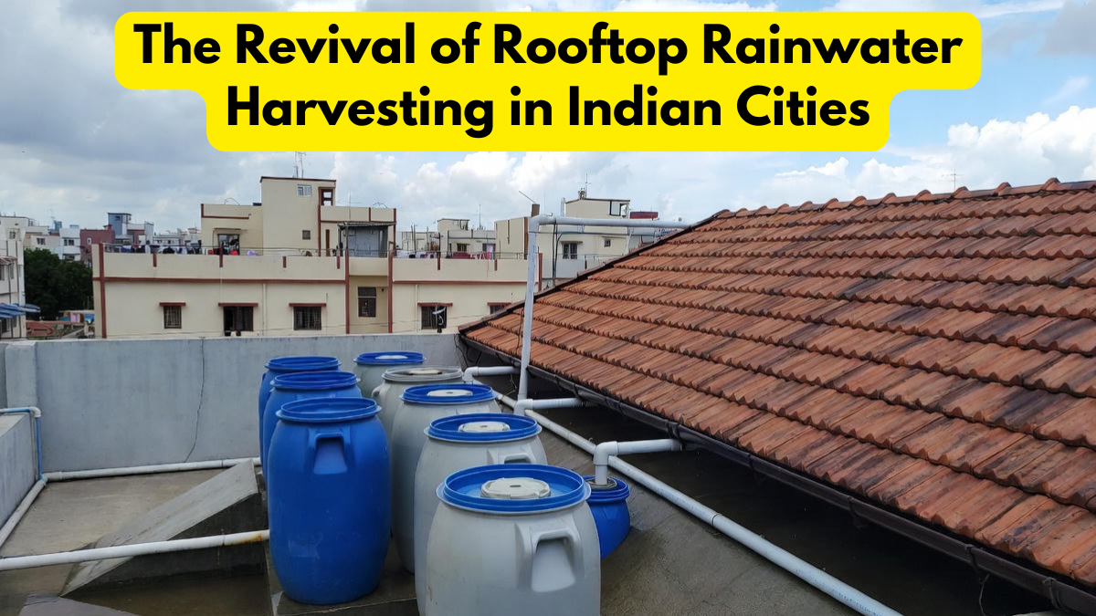 The Revival of Rooftop Rainwater Harvesting in Indian Cities