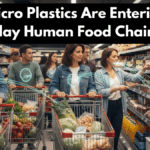 How Micro Plastics Are Entering Everyday Human Food Chains